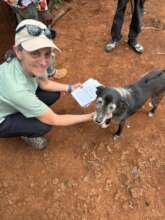 Community Rabies Vaccinations