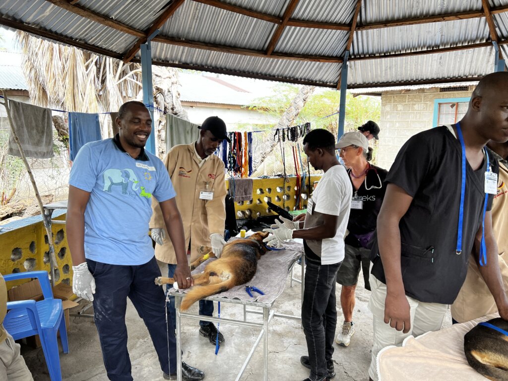 Help Dogs and Community Public Health in Kenya