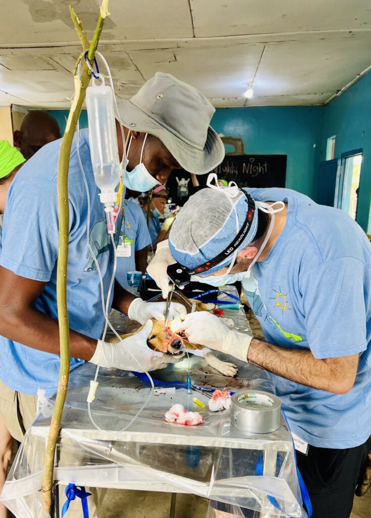 Help Dogs and Community Public Health in Kenya