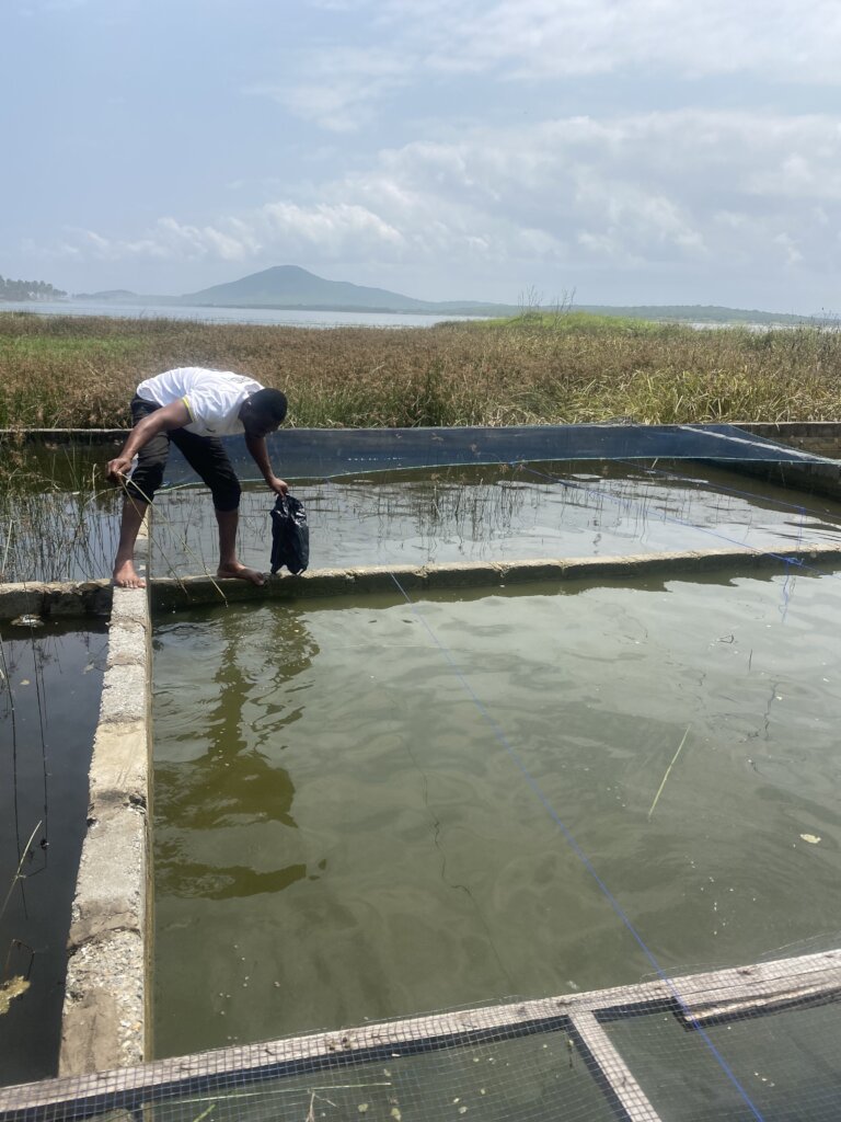 Project leader supervise the pond