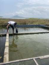 Project leader supervise the pond