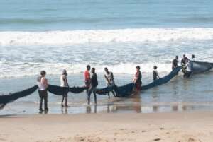 fisherman dragging net