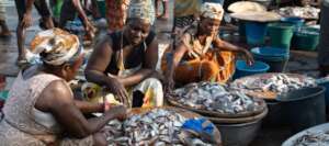 women selling fish