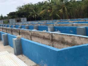 concrete fish pond