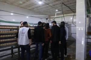 Industrial Establishments 2024