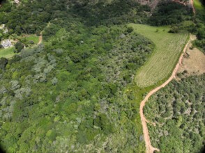Furquilha Farm, Sao Paulo state