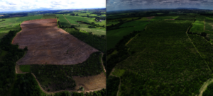 Before and after intervention