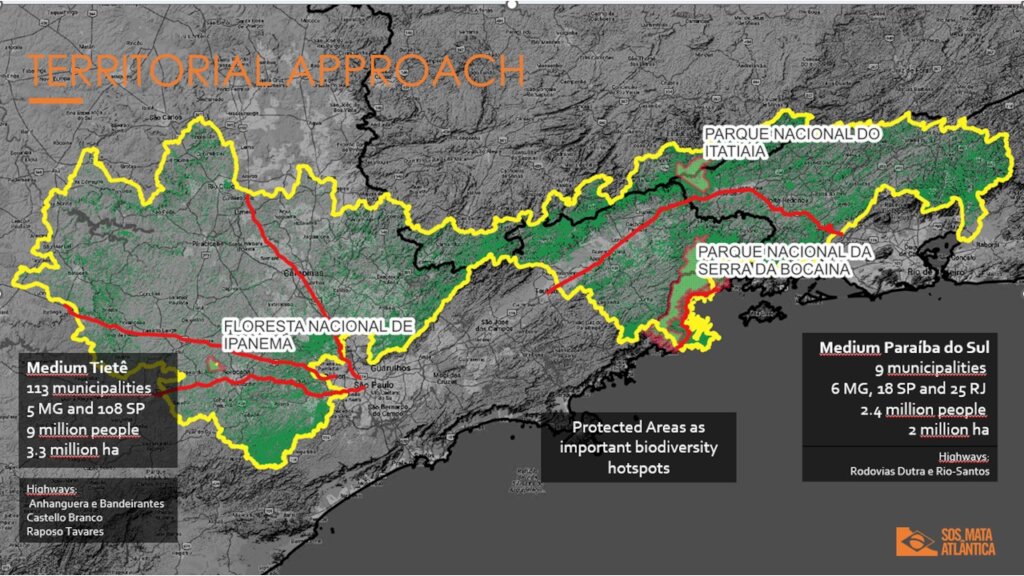 Forest Restoration in the Brazil's Atlantic Forest
