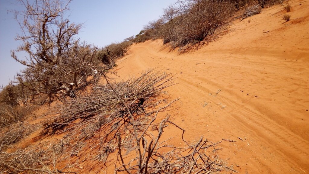 Climate based innovations for disaster mitigations