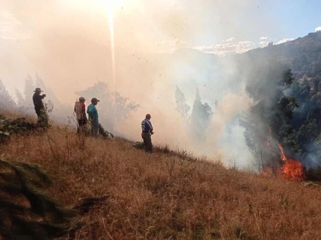 Forest Emergency Relief