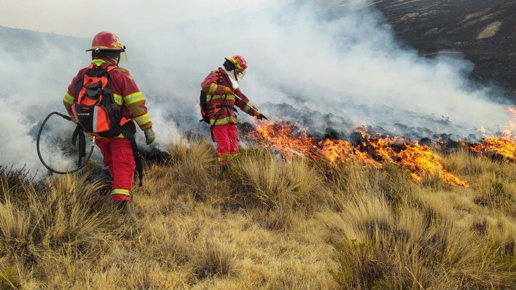 Forest Emergency Relief