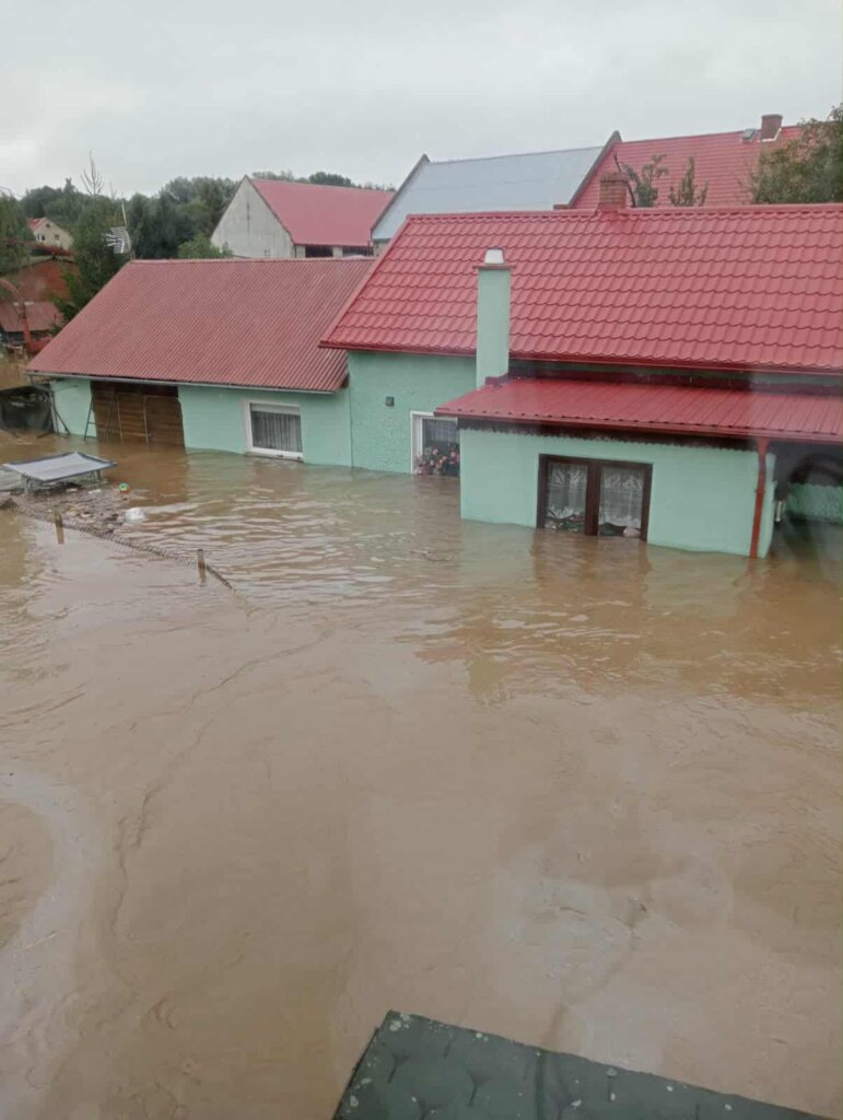 PAY IT FORWARD - Aniela's story