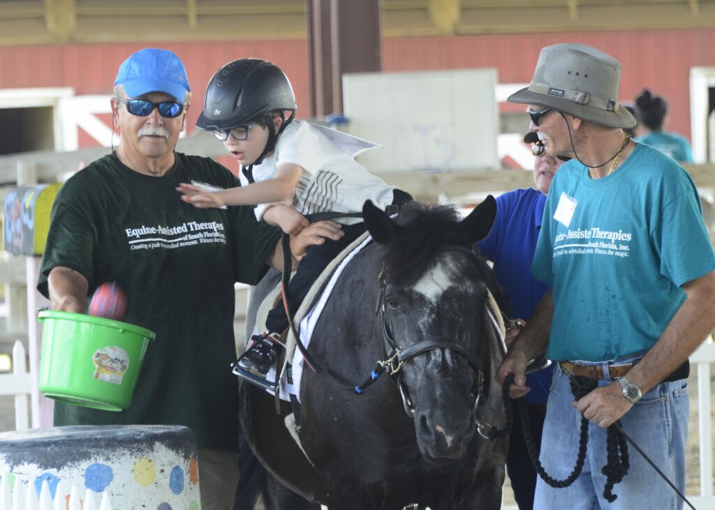 Support Beauty's Road to Recovery!