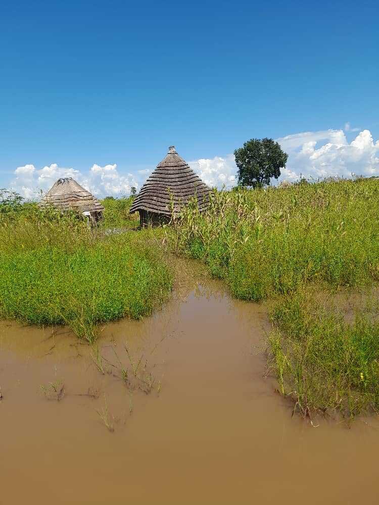 How to Share Rebuild Lives: Flood Recovery in South Sudan - GlobalGiving