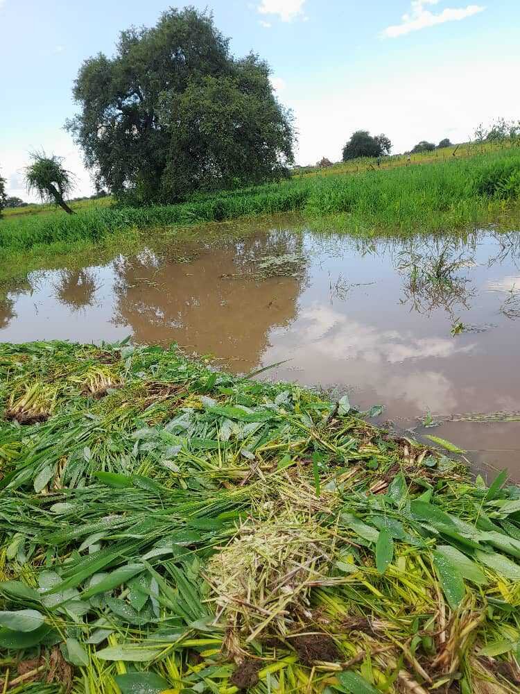 Donate to Rebuild Lives: Flood Recovery in South Sudan - GlobalGiving