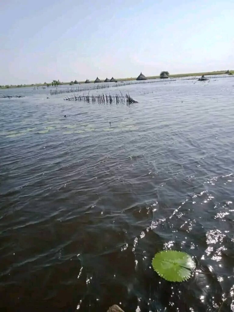 Restoring Hope to Children Affected by Floods