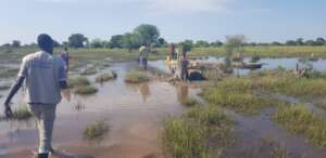 Community deep well is flood consumed