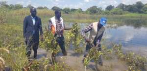 Local food crops are destroyed and water-rotten