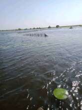 The rains are not about to stop, lots of water