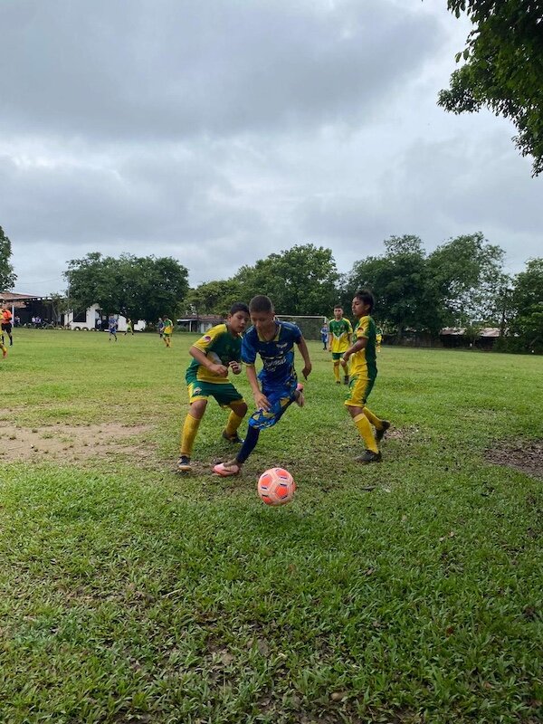 FC Vital