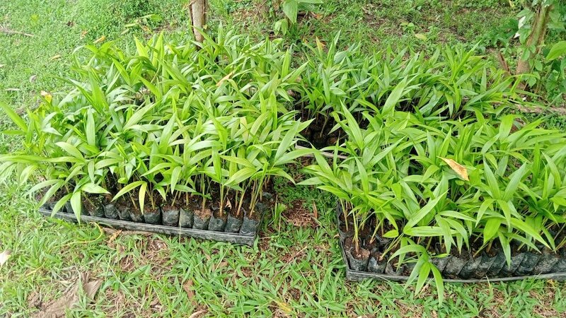 Sustainability for life