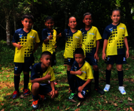 SOCCER VITAL PROGRAM
