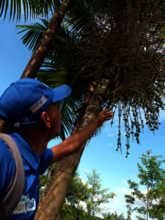 ENVIRONMENTAL SUSTAINABILITY