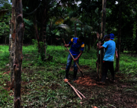 ENVIRONMENTAL SUSTAINABILITY