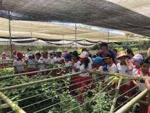 Children learn on sustainability, Acai & Palmito