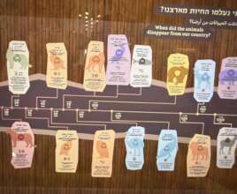 A sneak peak at some of the educational signage