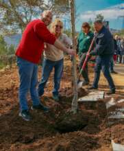 Planting the Red Forest
