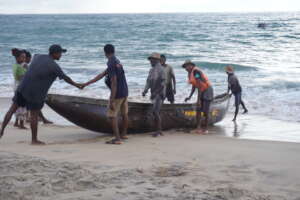 Data collection at Ambanihazo