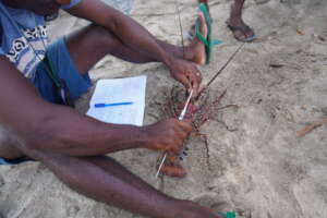 Data collection at Ambanihazo