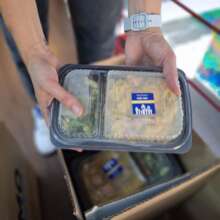 Meals made with love