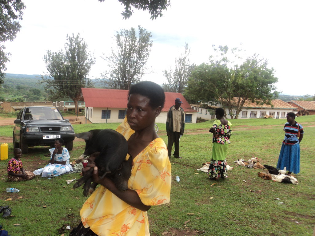 Improving livelihood of 200 widows in Mubende
