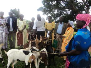 Livelihood support