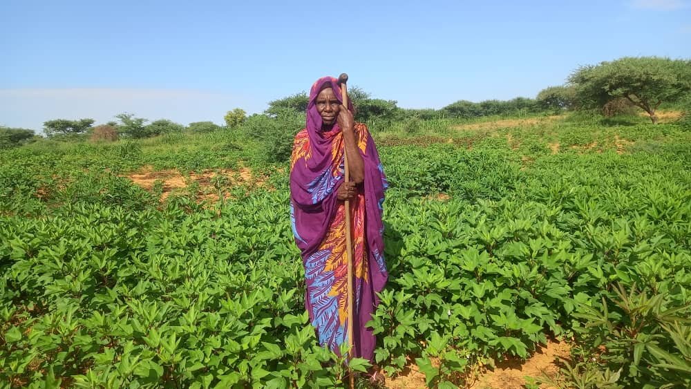 Sudan Emergency Relief