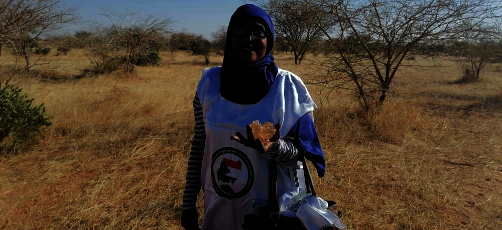 Sudan Emergency Relief