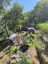 Practical restoration workshop at SINAL