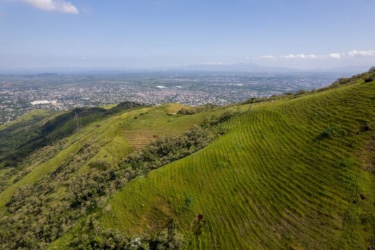 Shaping Atlantic Rainforest Ecological Corridor - GlobalGiving