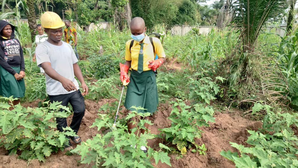 Sponsor Free Quality Education for Rural Children