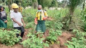 Some OSNON Academy students at the School Farm