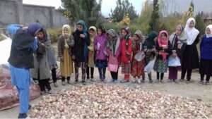 Orphaned girls collecting their BCG crops