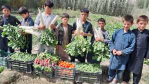 our boys and their produce!