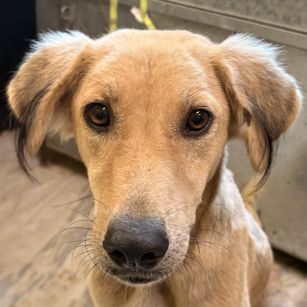 Arthur has touched our hearts