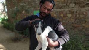 The lovable Jaan will benefit from our new shelter