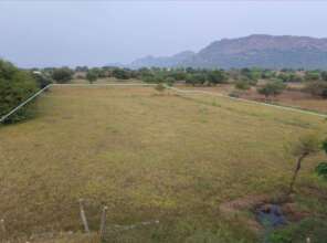 Land for our new shelter with boundary marked