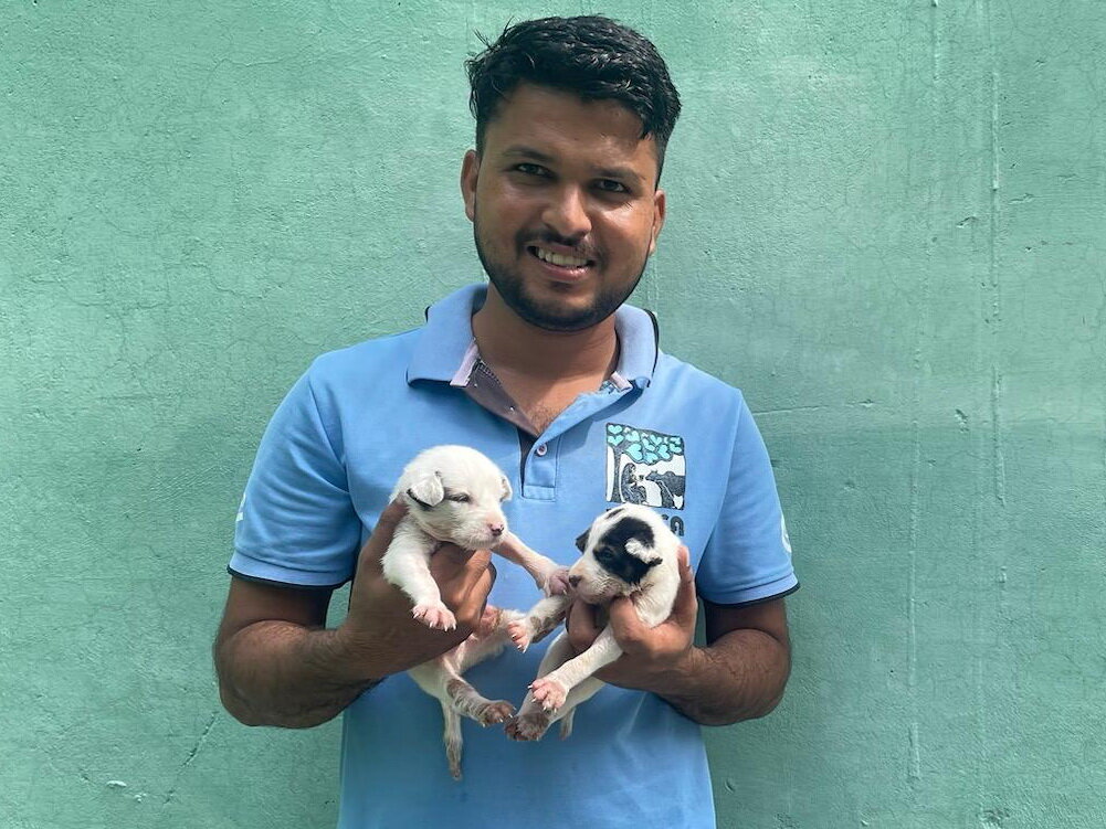 Give Disabled Dogs Lifelong Care In New Shelter