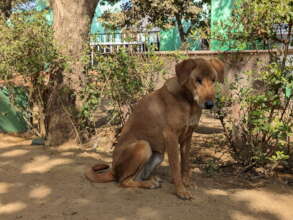 Cindy Is Blind And Could Not Be Released