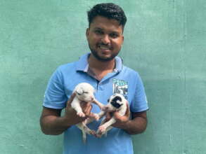 More Space Means We Can Do More Spay & Neuter